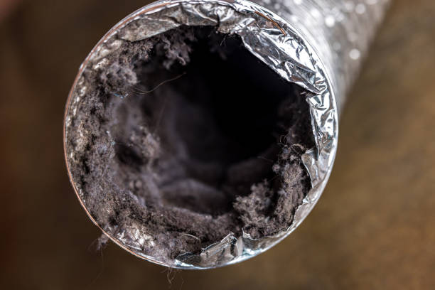 Best Home Air Vent Cleaning  in Fussels Corner, FL