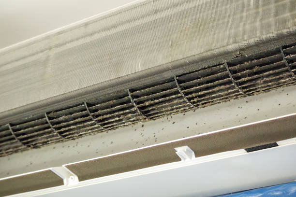 Best Ductwork Cleaning Services  in Fussels Corner, FL